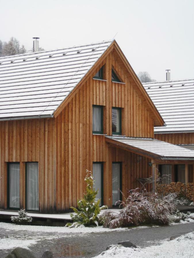 Alpenferienhaus Kreischberg 穆劳附近圣洛伦岑 外观 照片